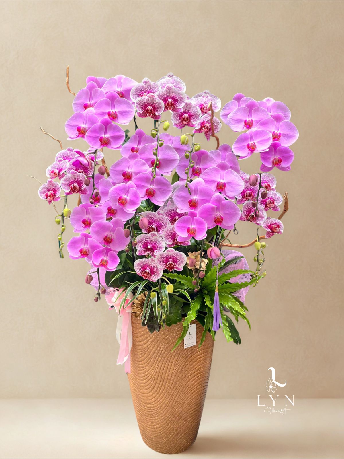 Chậu Hoa Lan Hồng 243 Mix Hồng Chấm Bi VIP